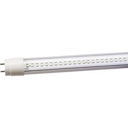 DAMAR 31169L