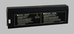 R&D BATTERIES 5387