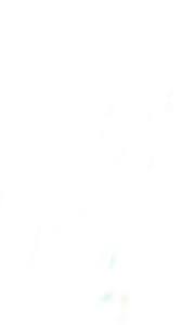 NIDEC CORP 075U2B300CAAE075140