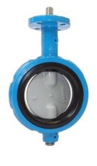 MAX SEAL VALVES & CONTROLS 51-DI-SS-S6-V-N-L-125