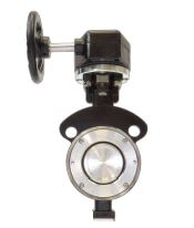 MAX SEAL VALVES & CONTROLS BW630CS-SS-S7-R-T-G-50