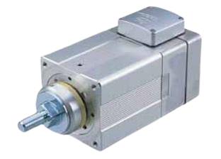 IAI RCS2-SRA7BD-I-100-4-50-T1-M