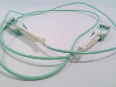 FS PZQ20190202026-01