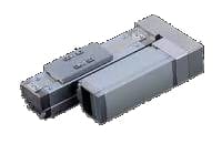 IAI RCA2-SA3R-I-10-2-100-A1-X10-ML