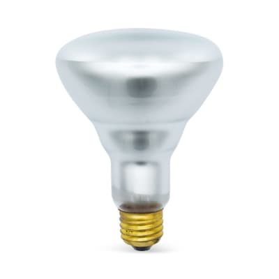 RADWELL VERIFIED SUBSTITUTE 110R30/FL/RS/1 120V-SUB