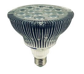 RADWELL VERIFIED SUBSTITUTE 24040-SUB-LED