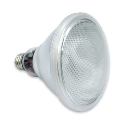 RADWELL VERIFIED SUBSTITUTE FLE26/2/PAR38-SUB