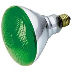 RADWELL VERIFIED SUBSTITUTE 100PAR/G/85WM-SUB