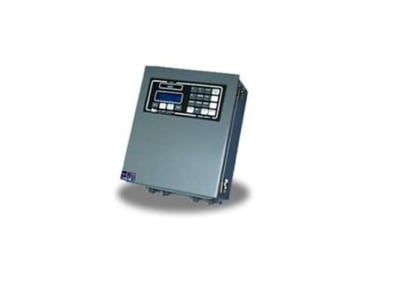 RICE LAKE DWM-IV/HSF