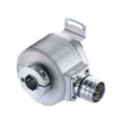 BAUMER ELECTRIC 11125165