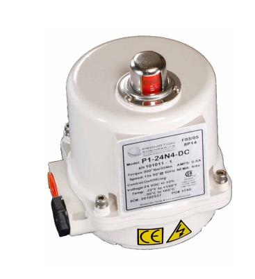 PROMATION ENGINEERING P1-24N4-AC-R0