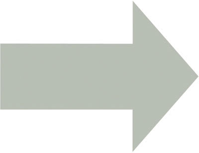 PRO SAFE INC H6903ARRWTL-211