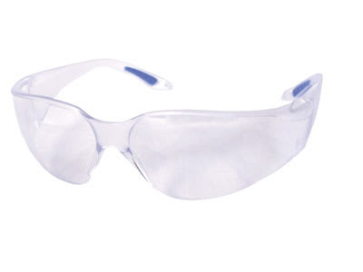 PRO SAFE INC BBVS - PRO-SAFE