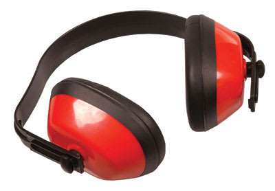 PRO SAFE INC BBED - PRO-SAFE