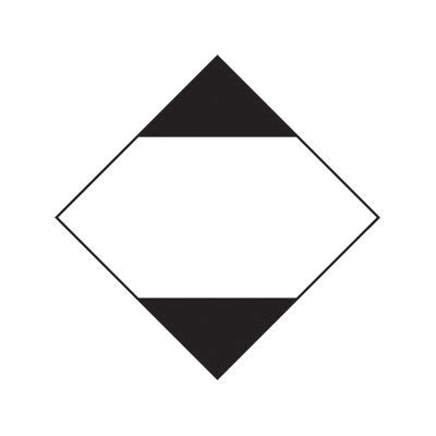 PRO SAFE INC R4000.250