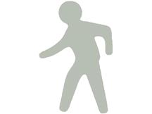 PRO SAFE INC H6903WALKINGMAN