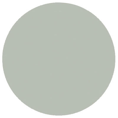 PRO SAFE INC H690390DISC