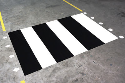 PRO SAFE INC H69031000ZEB