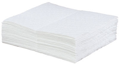 PRO SAFE INC H0914939