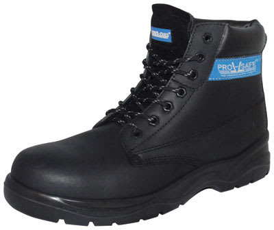 PRO SAFE INC VSF-20007E