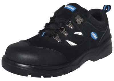 PRO SAFE INC VSF-30009B