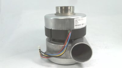 DOMINO L011374