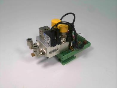 PNUTEK INC P6175
