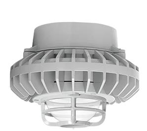 RAB LIGHTING HAZPLED80C-DG