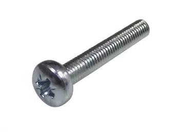 TR FASTENINGS M3 30 PRSTMC Z100