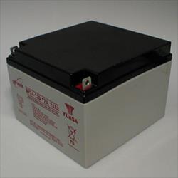 RADWELL VERIFIED SUBSTITUTE AED 20 BATTERY-SUB