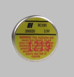 RADWELL VERIFIED SUBSTITUTE HORIZON 2000 BATTERY-SUB