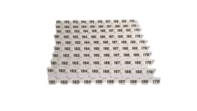 PHOENIX CONTACT BNB-ZB 6,2,LGS:FORTL.ZAHLEN 161-170