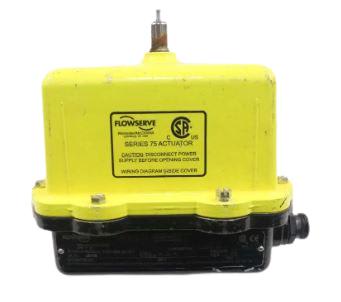 FLOWSERVE 10I75WM2-120A-15-N2381