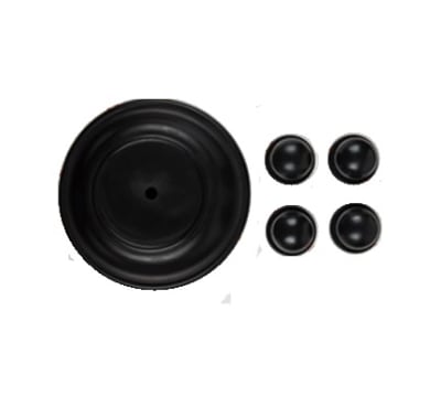 RADWELL VERIFIED SUBSTITUTE 08-9804-52-SUB-WILDEN