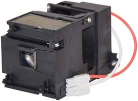 RADWELL VERIFIED SUBSTITUTE C110-SUB (LAMP & HOUSING)