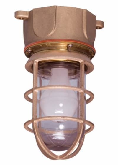 EATON CORPORATION INX2009CLR