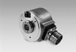 BAUMER ELECTRIC 10225520