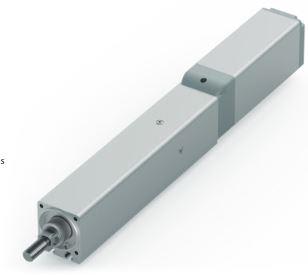 IAI RCP6-RA4C-WA35P5-100-P3-R05B