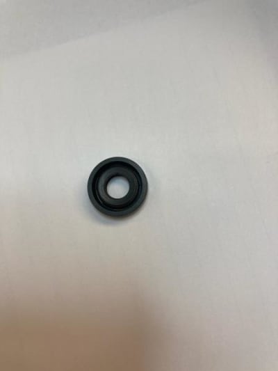 SKF 15X24X7 HMSA10 RG1