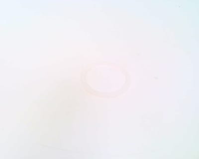 LINCOLN INDUSTRIAL 306-17813-1