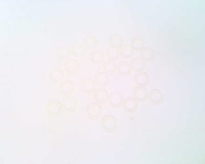 CLIPPARD 11761-4-PKG