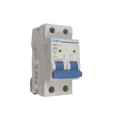 CHINT NB1-63D2P63