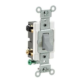 LEVITON CS420-2GY