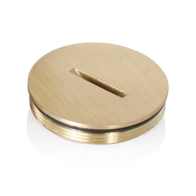 LEVITON 5249-CAP