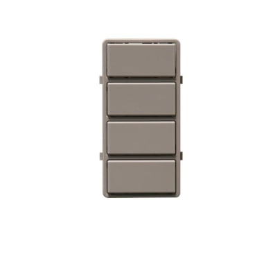 LEVITON DS4KT-1PG