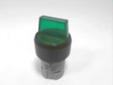 CARLO GAVAZZI PB22SISRS31G