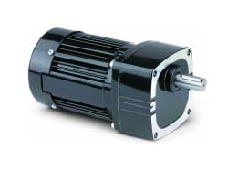 BODINE ELECTRIC 42R3BFCI-E4-300:1