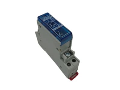 ELTAKO S11-100-220VAC