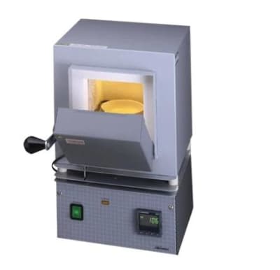 THERMO FISHER SCIENTIFIC FB1315M