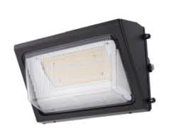 SIGNIFY WP100-SCT-G2-10-BZ